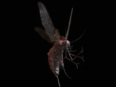 FlyingBug1 A1 Low-poly 3D model