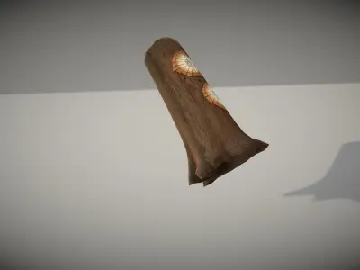 Cartoon Tree Trunk Low-poly 3D model