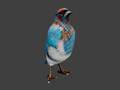Bird Animal Low-poly 3D model