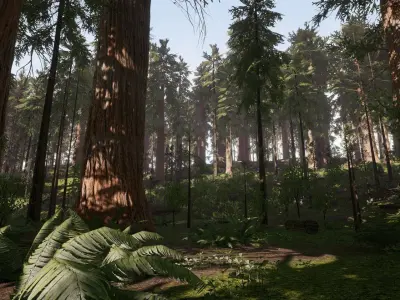 Redwood forest for game ready Low-poly 3D model