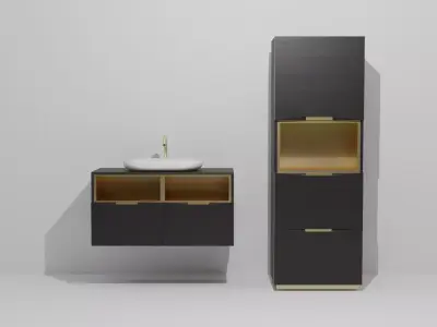 Bathroom cabinets black and gold Free 3D model