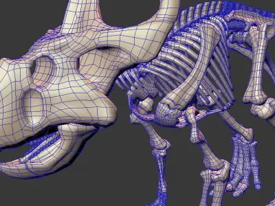 Protoceratops skeleton 3D model