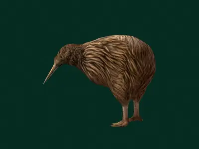 Kiwi Flightless Bird Animal Low-poly 3D model