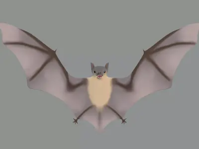 Bat Model 3D model