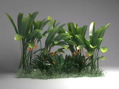 Tropical plant set Low-poly 3D model