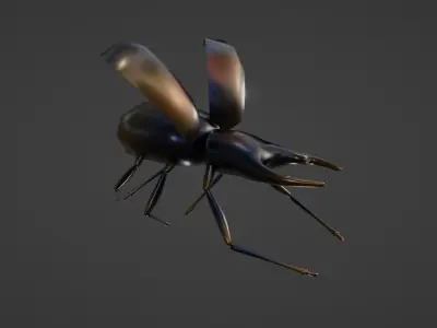 RIGED AND ANIMATED BEETLE Low-poly 3D model