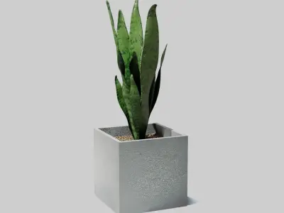 pot plant Free low-poly 3D model
