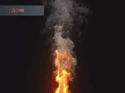 Burning Tree Animation 250 Frames 3D Model 3D model