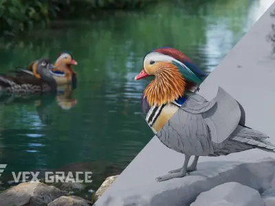 Mandarin Duck Male Animated VFX Grace 3D model