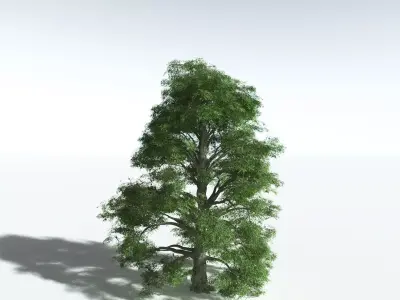 EVERYPlant Idiot Fruit Tree 3D model