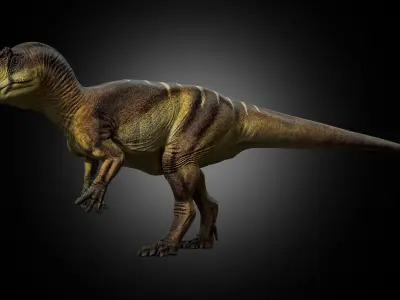 Allosaurus fragilis 2024 Version Low-poly 3D model