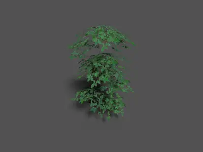 low poly forest tree 1 Low-poly 3D model