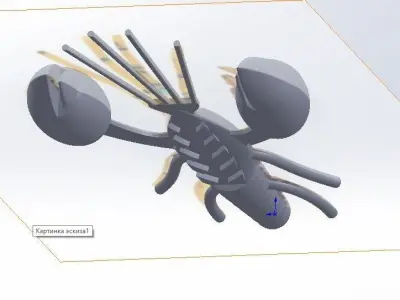 Crayfish lobster Texture