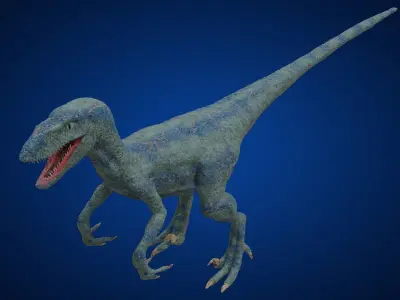 Velociraptor dinosaur Low-poly 3D model