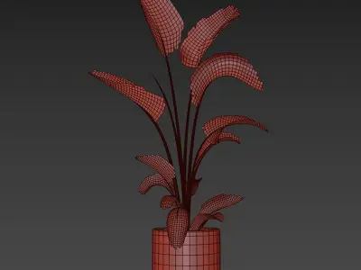 indoor plant 032 3D model