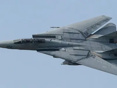 Grumman F-14 Tomcat 3D model