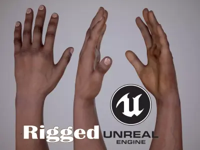 FPS Arms 02 Rigged Free 3D model