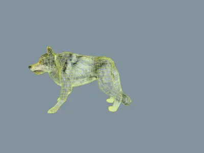 Wolf - low-poly model dog running Free low-poly 3D model