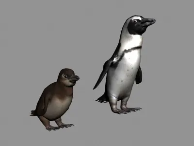 Penguins Rigged Low-poly 3D model