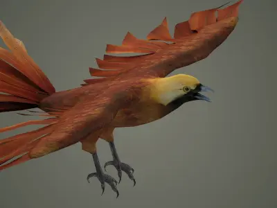 pheasant bird feather wing game hunt hunting wild forest  3D model