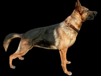 Dog K-9 - PBR - Textured Low-poly 3D model