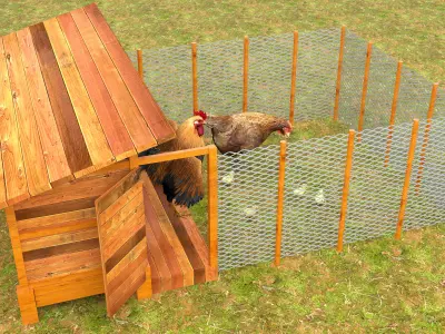 Chicken Coop Low-poly 3D model