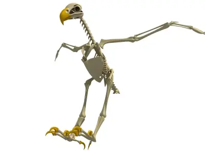 Full Body Eagle Skeleton 3D model