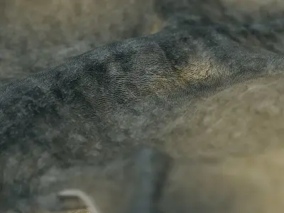 Quetzalcoatlus - Cretaceous Pterosaur Flying Reptile Low-poly 3D model