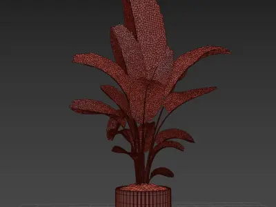 Indoor plant 017 3D model