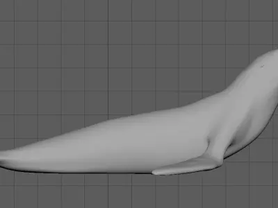 Sea Lion 3D Print 3D model