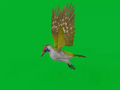 European Green Woodpecker Bird Low-poly 3D model
