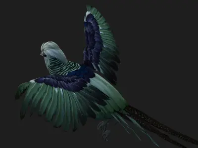 Pheasant A5 3D model