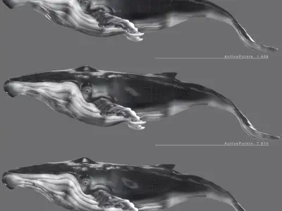 Humpback Whale Low-poly 3D model Low-poly 3D model