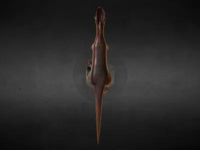 Dilophosaurus Jurassic Dinosaur Low-poly 3D model