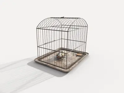 Old Bird Cage and  Bird 3D model