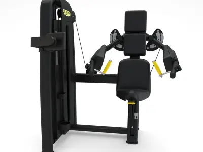Technogym - Selectorised - Delts Machine 3D model