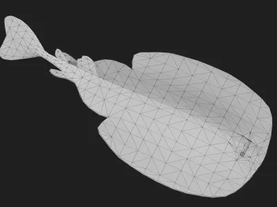 Skate Low-poly 3D model