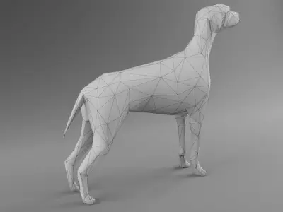 Dog 3D Model - Low Poly 2019 Nice Anatomy with 3D Scene Low-poly 3D model