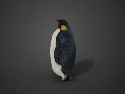 Emperor Penguin Rigged  VFX Grace 3D model