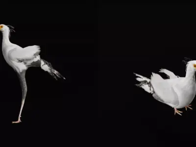 Secretary Bird Free 3D model