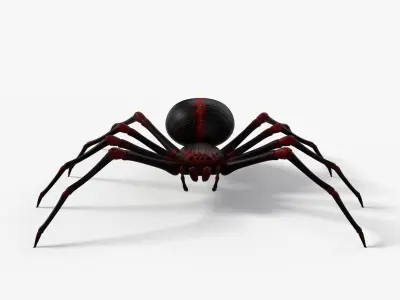Spider with 8K PBR Textures 3D model