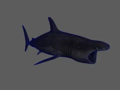 Basking-shark  Low-poly 3D model