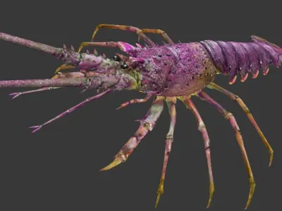 lobster Australian lobster Low-poly 3D model