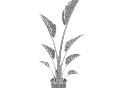 ikea STRELITZIA Potted plant Bird of paradise 3D model