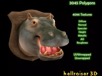 Hippopotamus - Hippo - Head - PBR - Textured Low-poly 3D model