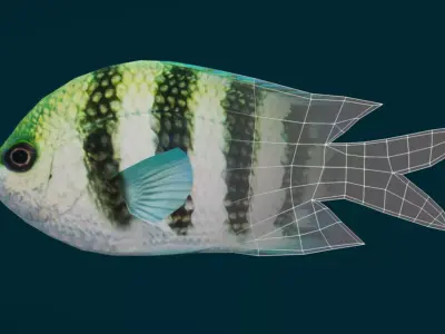 Coral Reef Fish Collection Animated - Game Ready pack 2 Low-poly 3D model