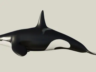 Killer Whale - Low-poly 3D model Free low-poly 3D model