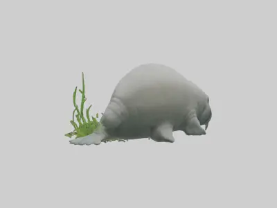 Manatee grazing on seagrass model Low-poly 3D model