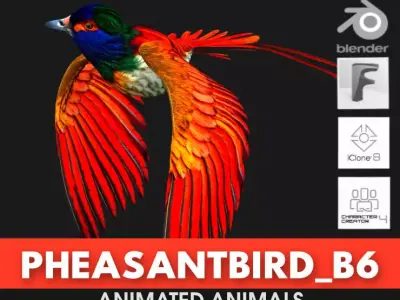 PheasantBird B6 3D model