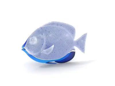 Blue Tang Fish model pack Low-poly 3D model